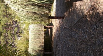 Saçaklı Ot Kaplama