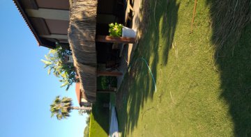 Saçaklı Ot Kaplama