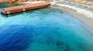 Saçaklı Ot Kaplama