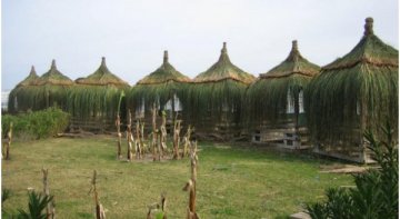 Saçaklı Ot Kaplama