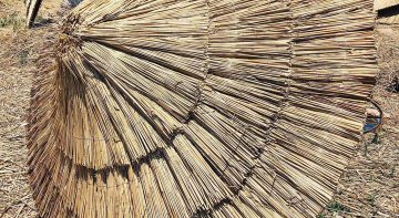 Kamış Şemsiye Modelleri