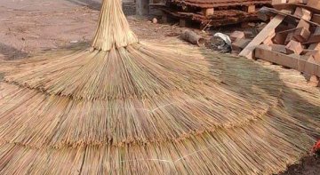 Kamış Şemsiye Modelleri