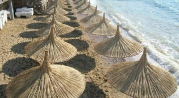 Kamış Şemsiye üretimi