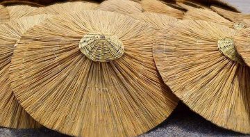 Kamış Şemsiye üretimi