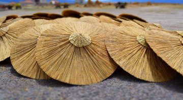 Kamış Şemsiye üretimi