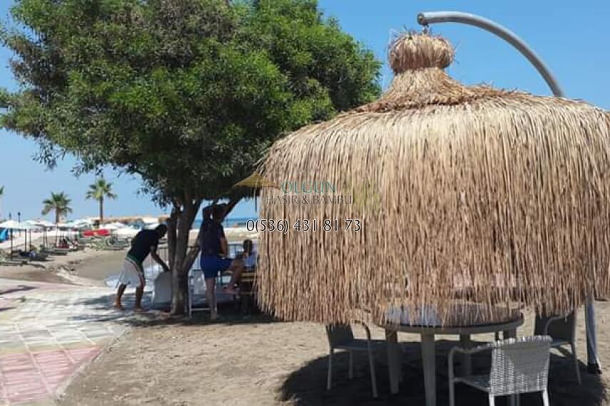 Doğal Ot Kaplama Çatılar Nasıl Yapılır, Nelerdir